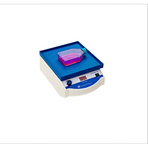 其林贝尔 脱色摇床TS-2型