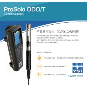 YSI维赛光学溶解氧和温度测量仪ProSolo （4米）
